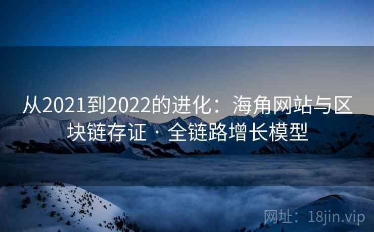 从2021到2022的进化:海角网站与区块链存证 · 全链路增长模型