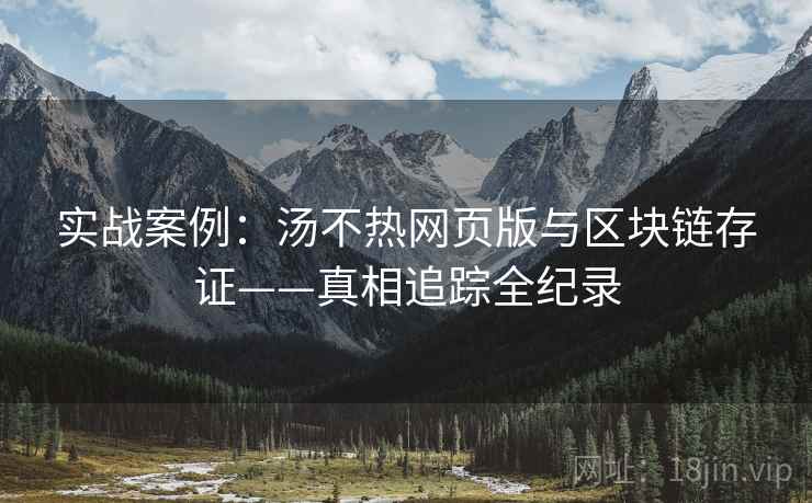 实战案例:汤不热网页版与区块链存证——真相追踪全纪录