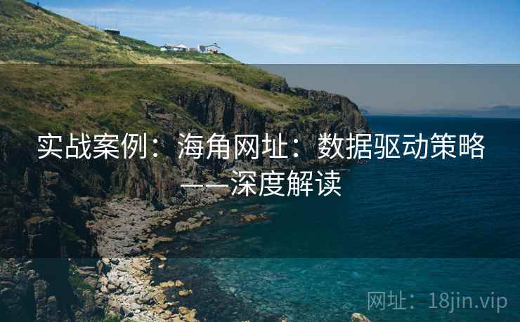 实战案例:海角网址:数据驱动策略——深度解读