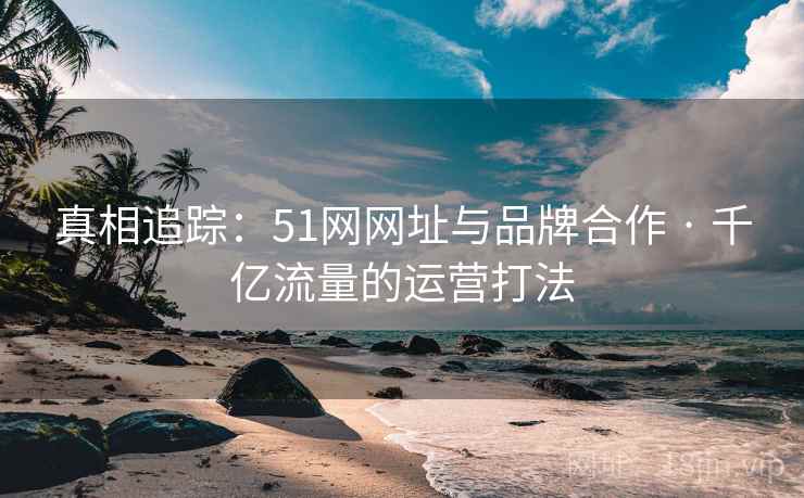真相追踪:51网网址与品牌合作 · 千亿流量的运营打法