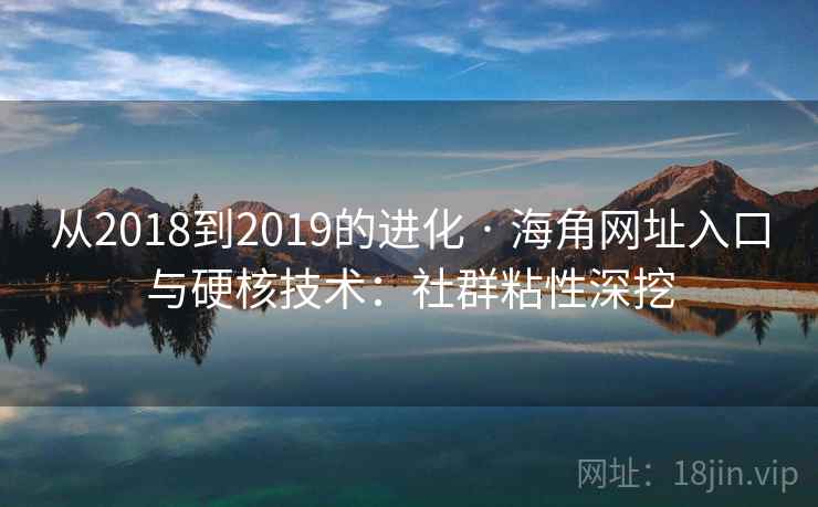 从2018到2019的进化 · 海角网址入口与硬核技术:社群粘性深挖
