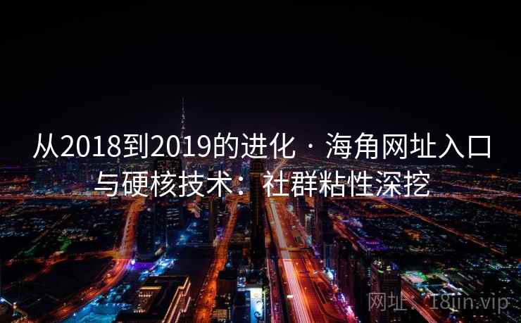 从2018到2019的进化 · 海角网址入口与硬核技术:社群粘性深挖