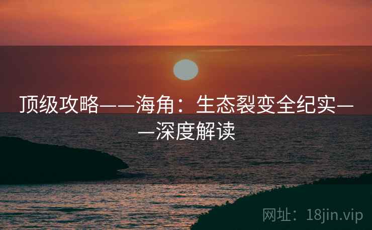 顶级攻略——海角:生态裂变全纪实——深度解读
